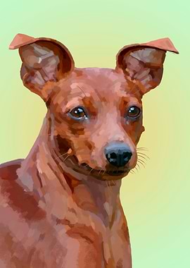 Miniature Pinscher Dog