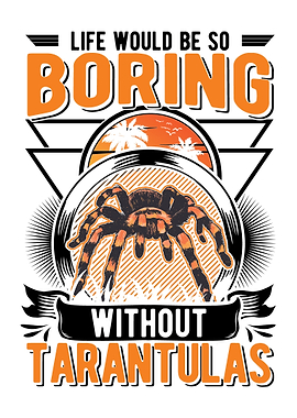 Tarantula Gift