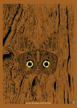 Image of the Invisible