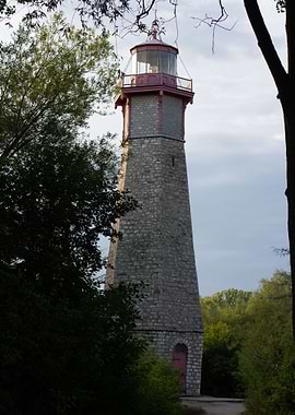 Lighthouse in a forest