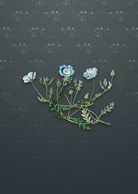 Vintage Shewy Nemophila