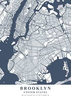 Brooklyn Ash Plane Map