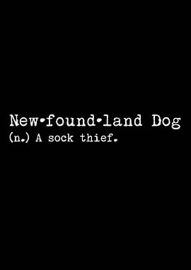 Newfoundland A Sock Thief