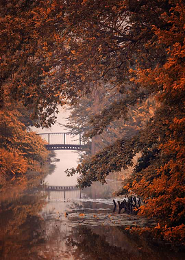 Autumn in the misty park
