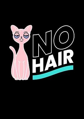 No Hair Sphynx Cat