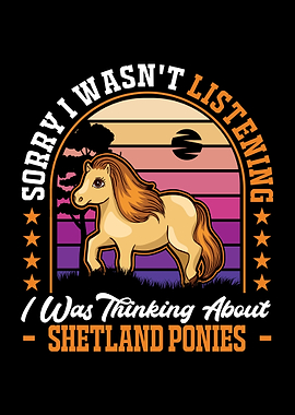 Shetland Pony Shetty