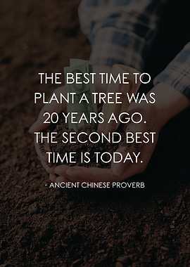 Best Time To Plan A Tree