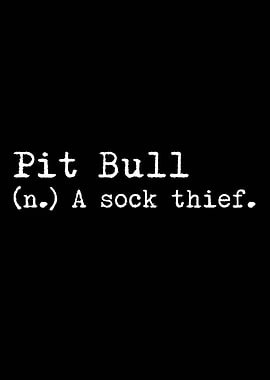 Pit Bull A Sock Thief