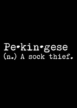 Pekingese A Sock Thief