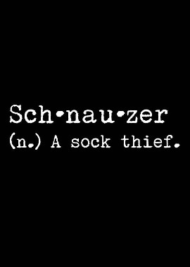 Schnauzer A Sock Thief