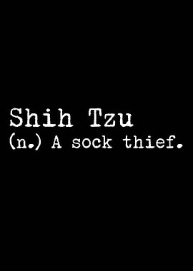 Shih Tzu A Sock Thief