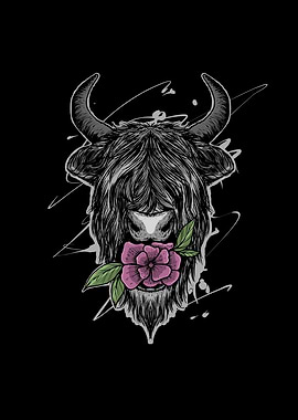 Scottish Highland Cow