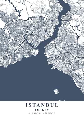 Istanbul Ash Plane Map
