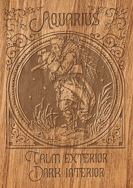 Zodiac Aquarius