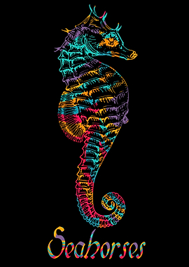 colorful seahorses