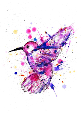 Rainbow Hummingbird