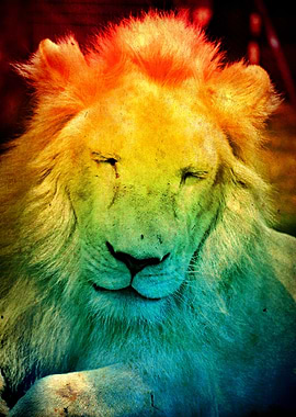 Rainbow Lion
