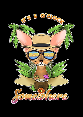 Abyssinian Cat Drinking