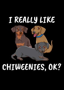 Dog Gift Women Chiweenie