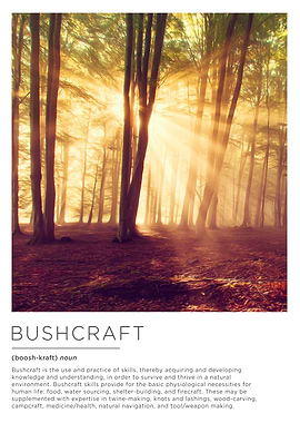 Bushcraft Landscape 4