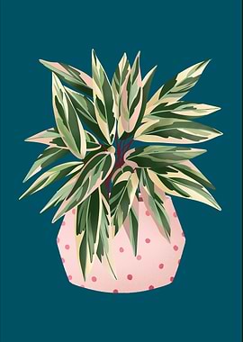 Calathea Triostar Blue