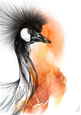Crowned Crane
