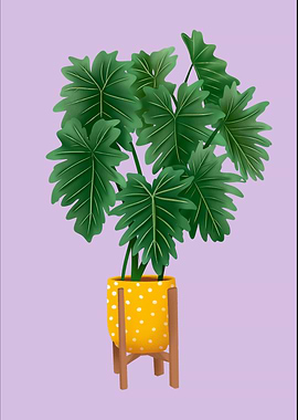 Philodendron Xanadu Plant