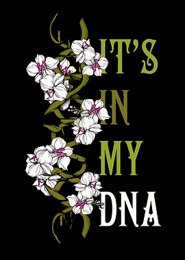 Orchid Flower Plant Lover