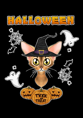 Abyssinian Cat Halloween