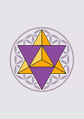 Merkaba and Flower of Life