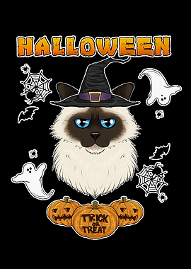 Birman Cat Halloween