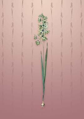 Vintage Turquoise Ixia