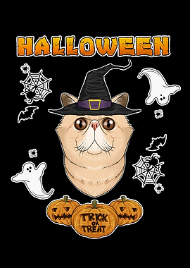 Exotic Shorthair Halloween