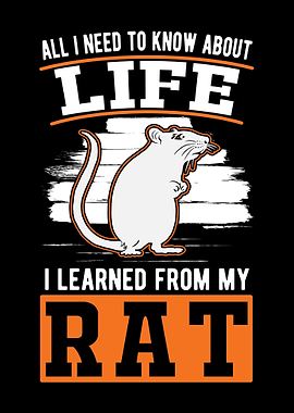 Rat Domestic Owner
