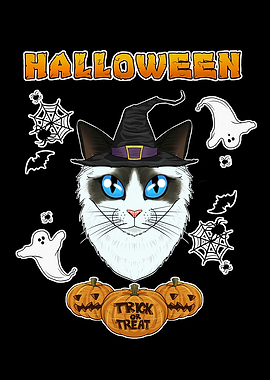 Ragdoll Cat Halloween