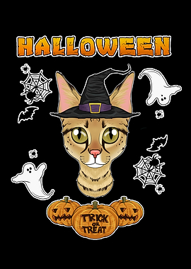 Savannah Cat Halloween