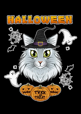 Norwegian Forest Cat