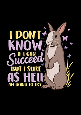 Ambitious Rabbit Success