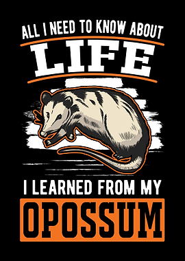 Possum Gift Opossum