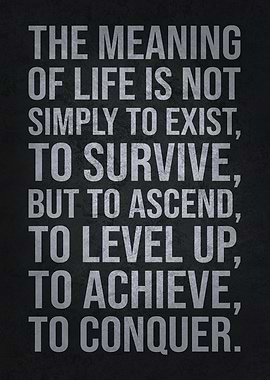 Meaning Of Life To Achieve