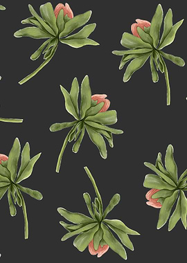 Aster Flower Pattern 06