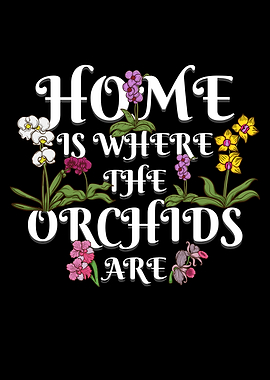 Orchid Flower Gift Florist