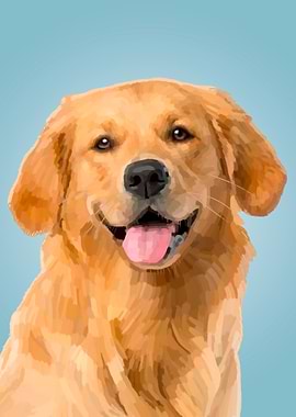 Golden Retriever Dog