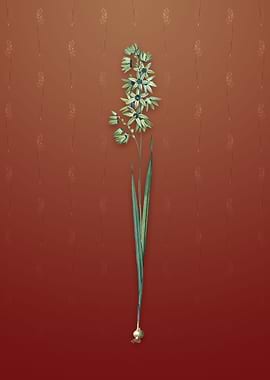 Vintage Turquoise Ixia