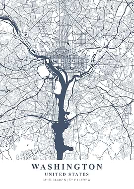 Washington Ash Plane Map
