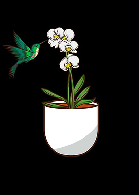 Hummingbird Orchid Flower