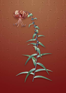 Tiger Lily on Falu Red