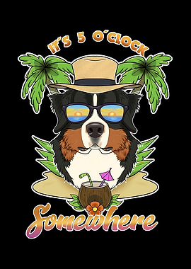 Bernese Mountain Dog Beach