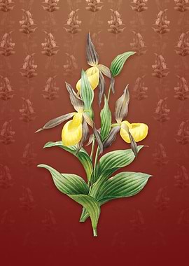 Vintage Sabot des Alpes