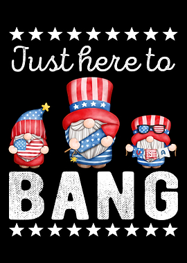 Firework Gnomes 4th July